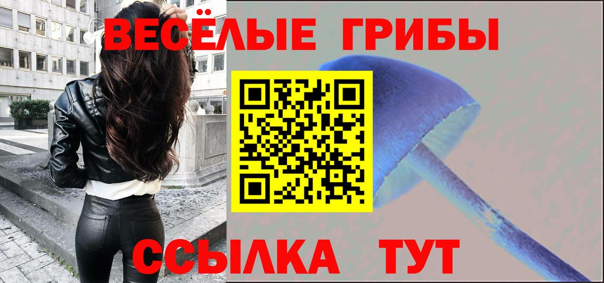 Красногорск  закладки  Вход с VPN  Галлюциногенные грибы Psilocybe 